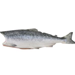 FROZEN SOCKEYE SALMON RS 6/9