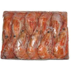 FROZEN SPOT PRAWN (BOTAN)