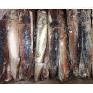 FROZEN SURUME IKA 26/30  CN