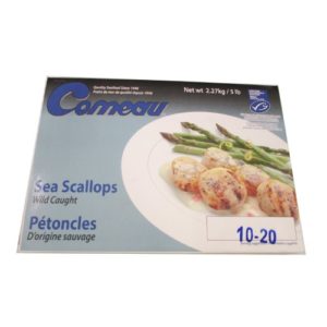 FROZEN SEA SCALLOP BLK 10/20