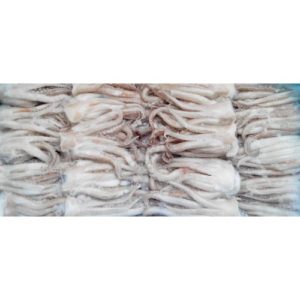 VIVA SEA SQUID TENTACLE 150 UP