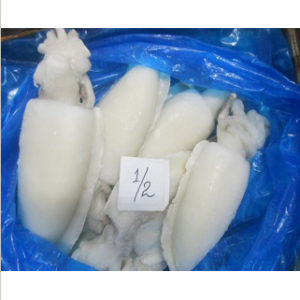 FROZEN CUTTLEFISH WHOLE CLN 1/2 ID